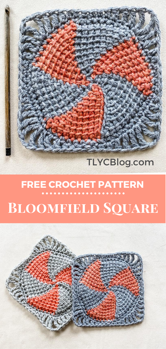Bloomfield Square | Make this fun and easy Tunisian crochet granny square with just a bit of yarn. Crochet a center circle using short rows then add a simple border. Crochet several for a blanket or afghan, scarf, or pillow. Get the free crochet pattern now. | TLYCBlog.com