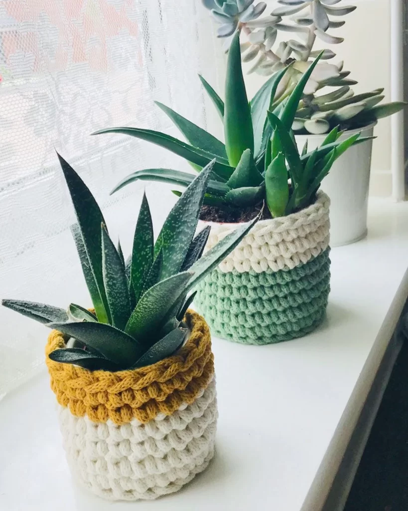 One Skein Plant pot cozy pattern by Pixiesmagichook