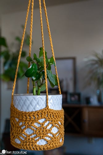 Plant Hanger by Ashlea Schumaker